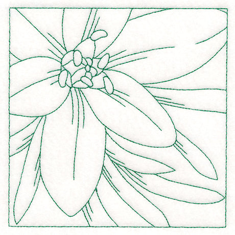 Festive Florals Quilting - Star of Bethlehem (Double Run)