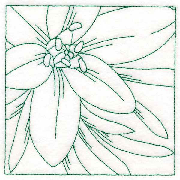 Festive Florals Quilting - Star of Bethlehem (Double Run)