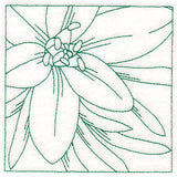 Festive Florals Quilting - Star of Bethlehem (Double Run)