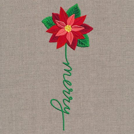 Merry Bloom Poinsettia