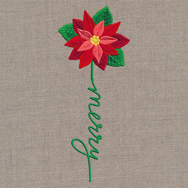 Merry Bloom Poinsettia