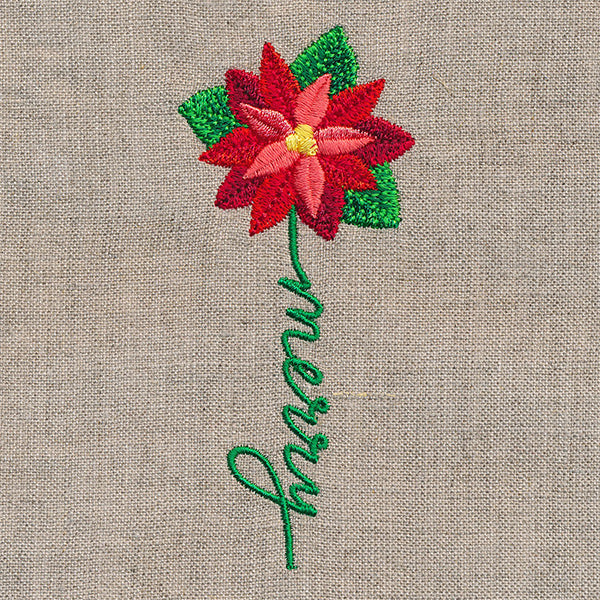 Merry Bloom Poinsettia