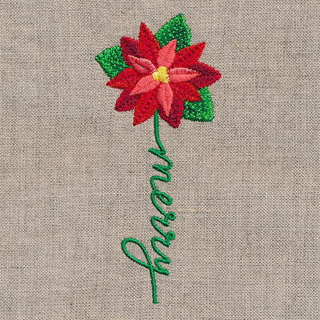 Merry Bloom Poinsettia