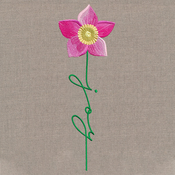 Joy Bloom Christmas Rose