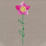 Joy Bloom Christmas Rose