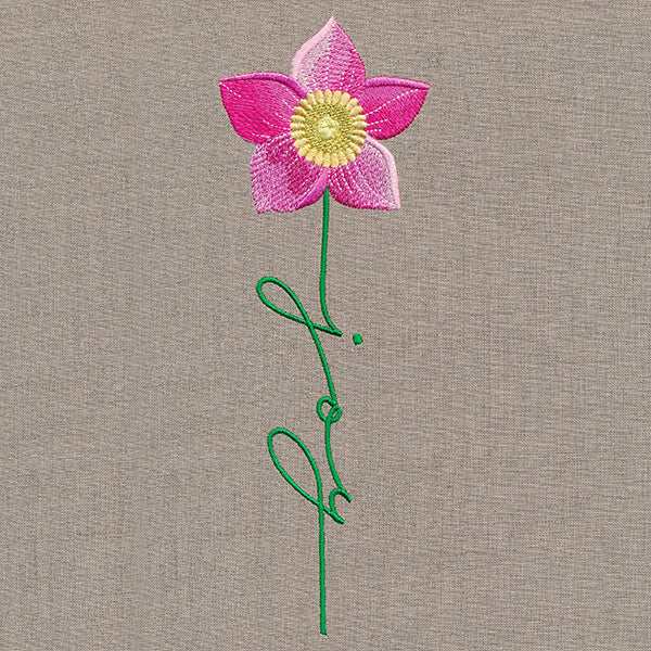 Joy Bloom Christmas Rose