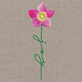 Joy Bloom Christmas Rose