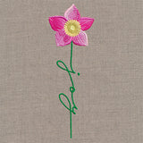 Joy Bloom Christmas Rose