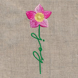 Joy Bloom Christmas Rose