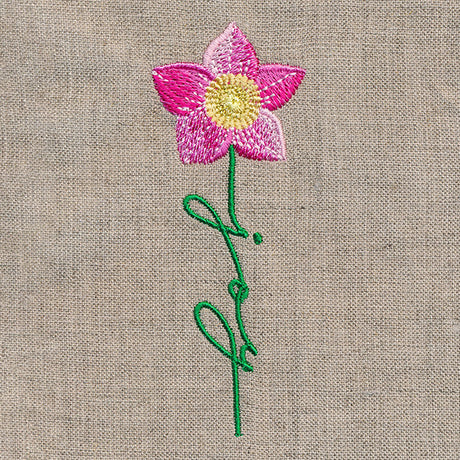 Joy Bloom Christmas Rose