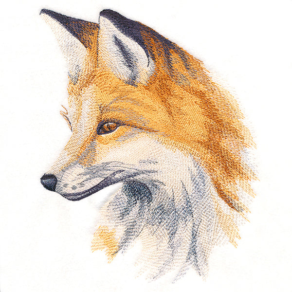 Wild Beauty Fox