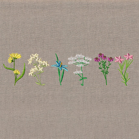 Delightful Wildflower Border