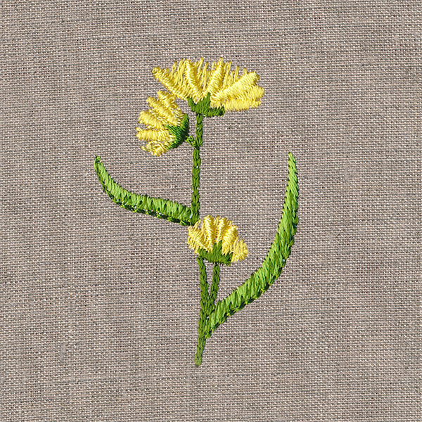 Delightful Wildflower 1