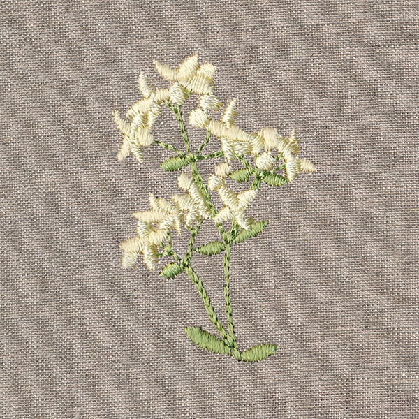 Delightful Wildflower 2