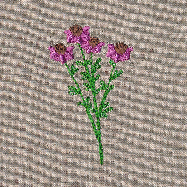 Delightful Wildflower 5