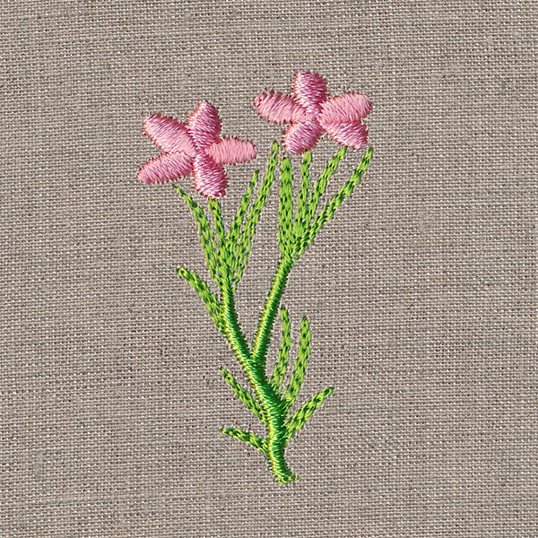 Delightful Wildflower 6