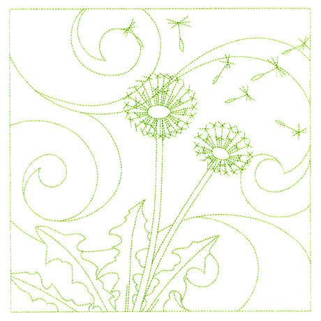 Delicate Wildflowers - Dandelion