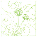 Delicate Wildflowers - Dandelion