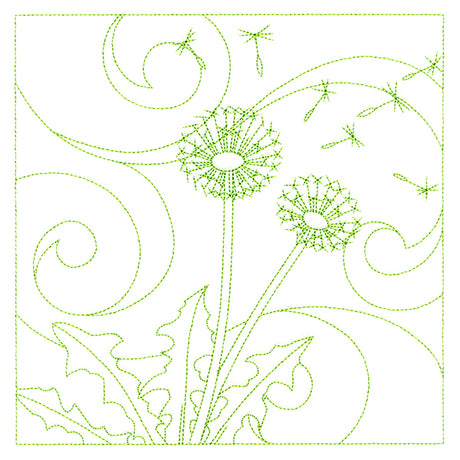 Delicate Wildflowers - Dandelion