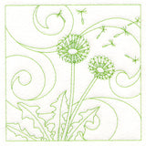 Delicate Wildflowers - Dandelion