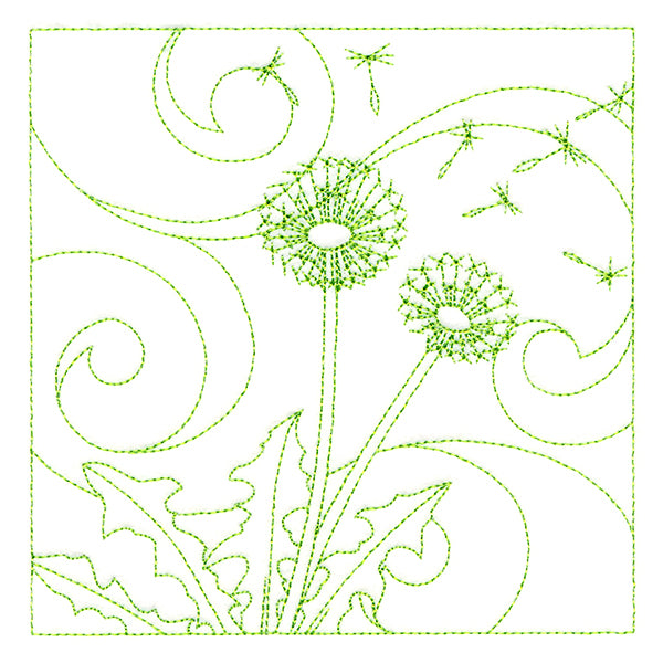 Delicate Wildflowers - Dandelion