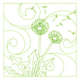 Delicate Wildflowers - Dandelion
