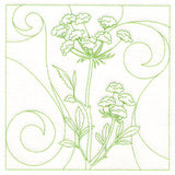 Delicate Wildflowers - Queen Anne's Lace