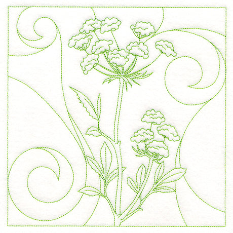 Delicate Wildflowers - Queen Anne's Lace