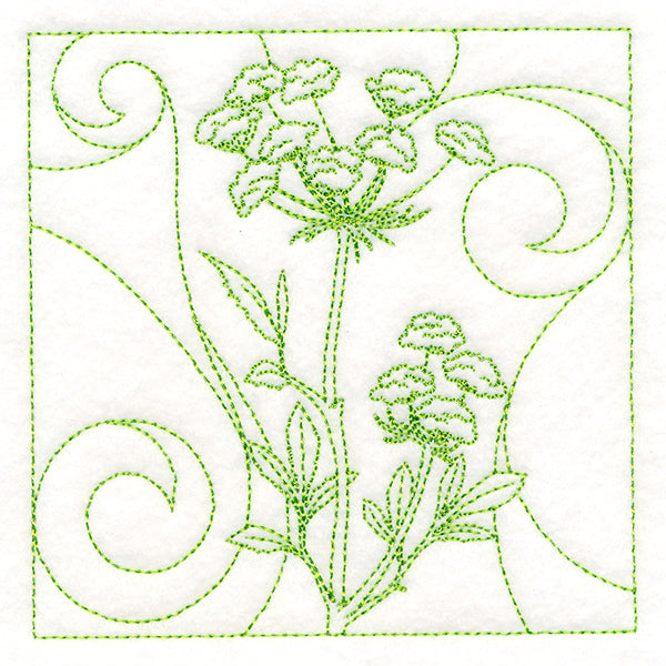 Delicate Wildflowers - Queen Anne's Lace