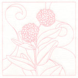 Delicate Wildflowers - Milkweed