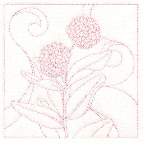 Delicate Wildflowers - Milkweed