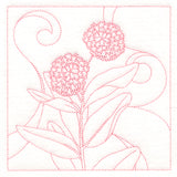 Delicate Wildflowers - Milkweed