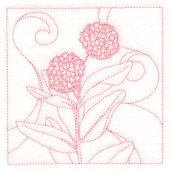 Delicate Wildflowers - Milkweed