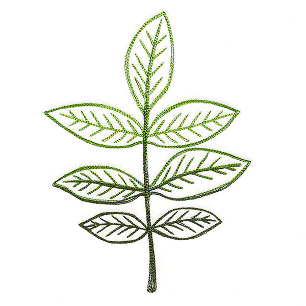 Autumn Ambience - Walnut Leaf