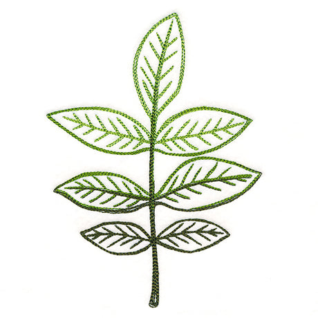 Autumn Ambience - Walnut Leaf