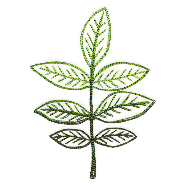 Autumn Ambience - Walnut Leaf