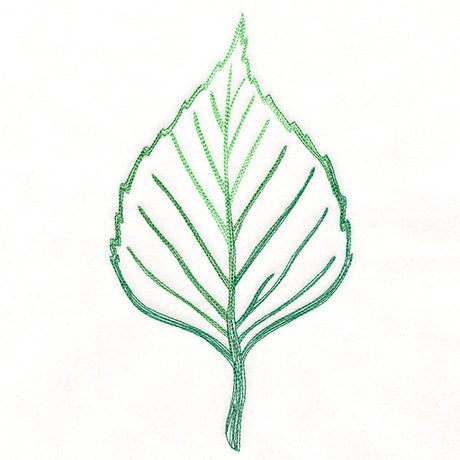 Autumn Ambience - Birch Leaf