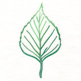 Autumn Ambience - Birch Leaf