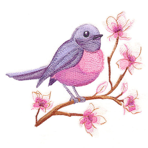 Sweet Pink Robin in Watercolor