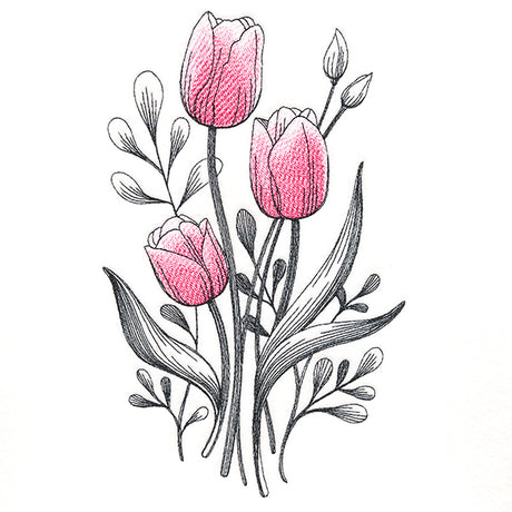 Lovely Tulip Etching