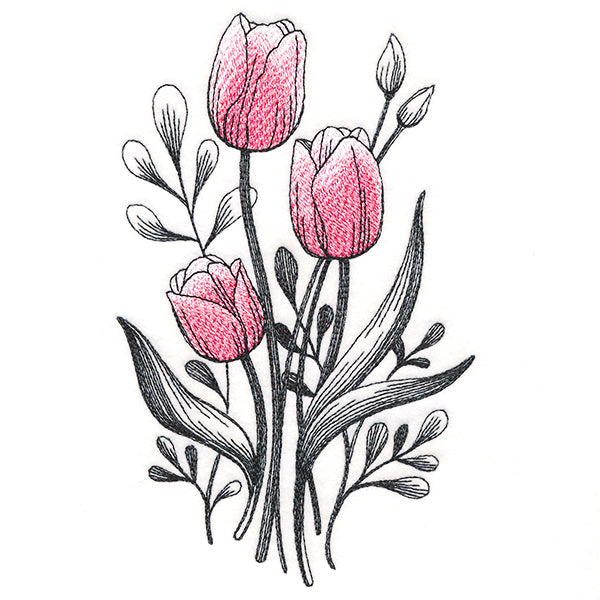 Lovely Tulip Etching