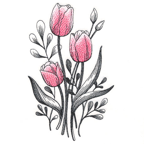 Lovely Tulip Etching