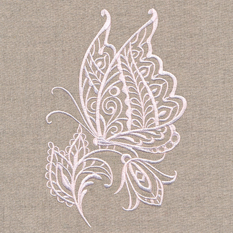 Charming Butterfly on Bloom