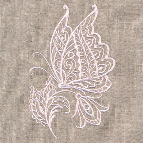 Charming Butterfly on Bloom