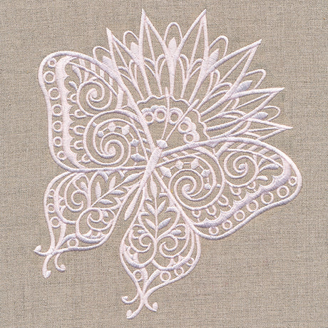 Lovely Butterfly on Bloom