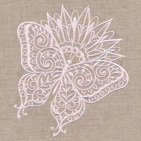 Lovely Butterfly on Bloom