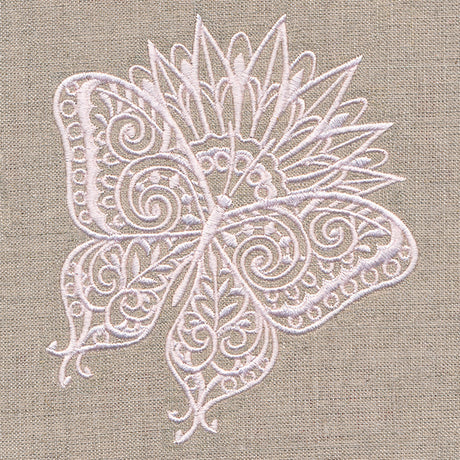 Lovely Butterfly on Bloom