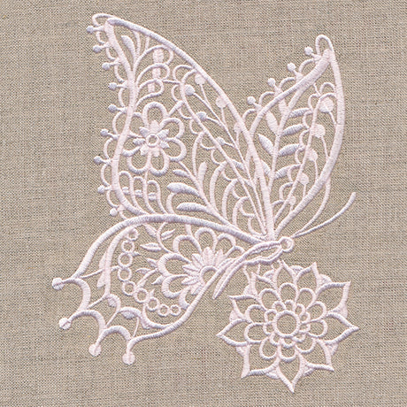 Delicate Butterfly on Bloom