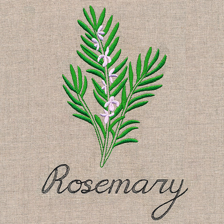Botanical Herbs - Rosemary