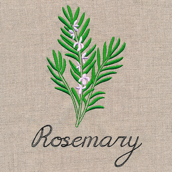 Botanical Herbs - Rosemary